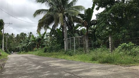 Lots for Sale in the Philippines .